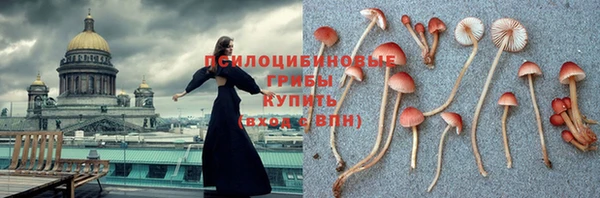 винт Вяземский